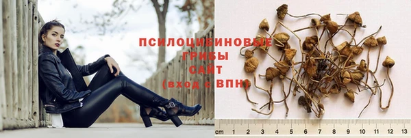 СК Михайловск