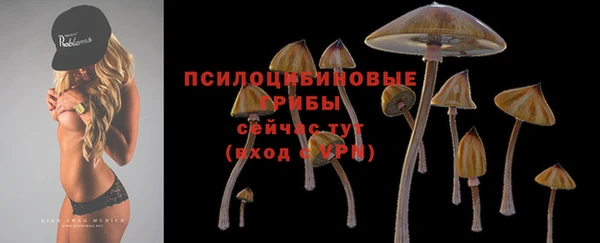 герыч Бронницы