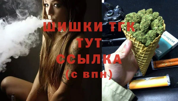 гашиш Богданович