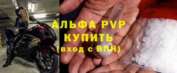 крисы Баксан